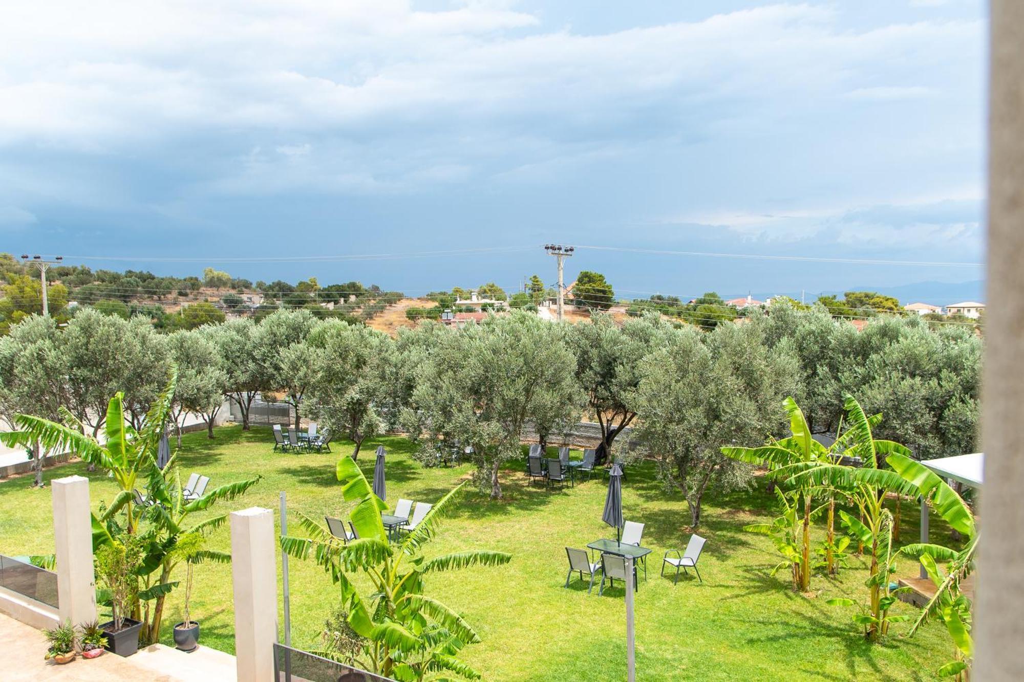 ארטמידה Airscape Hotel Free Shuttle From Athen'S Airport מראה חיצוני תמונה